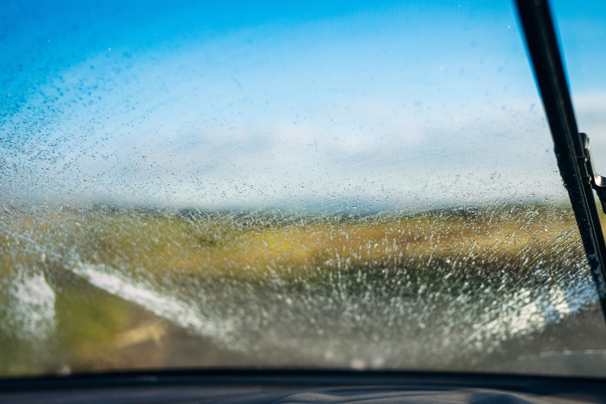Vehicle Screenwash 2 Winter Screenwash